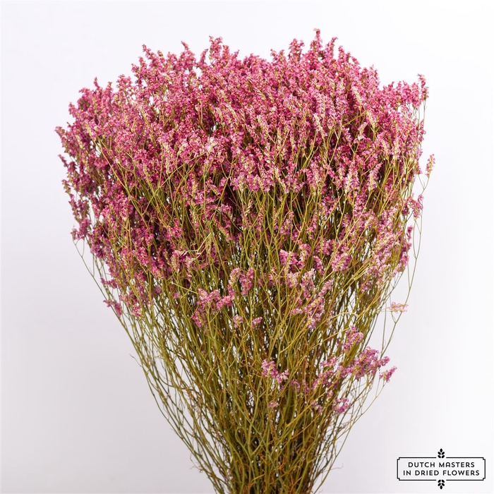 <h4>Dried Limonium Diamond D. Pink Bunch</h4>