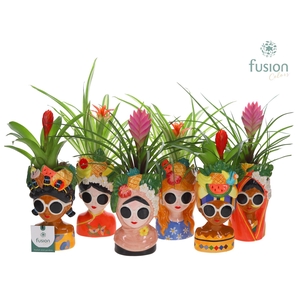 Keramiek Wereldvrouwen met Bromelia