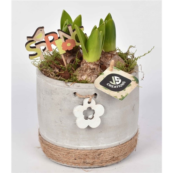 Cement pot met bloem gy 12cm