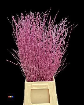 <h4>Betula / Berkentak Metallic Cerise</h4>