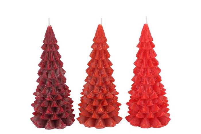 <h4>Candle Frosty X-mas Tree Wild Red Mix 8x16cm Ass</h4>