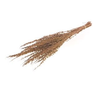 Palak Stick Natural