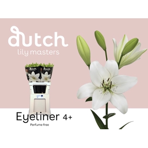 Li La Eyeliner 4+ Lily Master