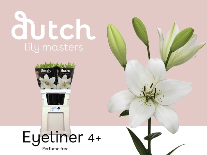 <h4>Li La Eyeliner 4+ Lily Master</h4>