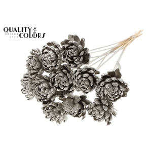 Shola New Beauty Rose Ø8cm on stem Platina