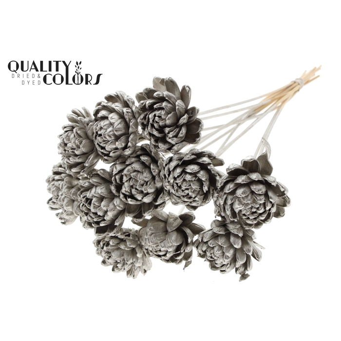 <h4>Shola New Beauty Rose Ø8cm on stem Platina</h4>