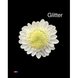 Chr T Stallion White + Glit Bio