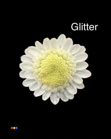 <h4>Chr T Stallion White + Glit Bio</h4>