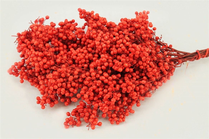 <h4>Schinus M Pt Carnation Red Bunch</h4>