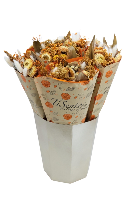 <h4>DROOGBL BEWERKT H%</h4>