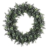 Wreath Cinerea Green