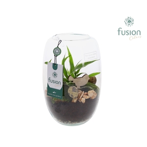 Green Bottle Isabella Small Pasen met Arrangement