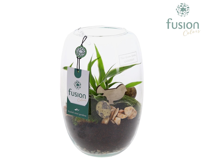 <h4>Green Bottle Isabella Small Pasen met Arrangement</h4>