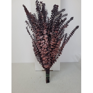 GESTABILISEERD EUC BABY ROOD