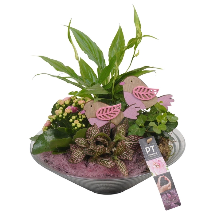 <h4>Arr.   Planten L%</h4>