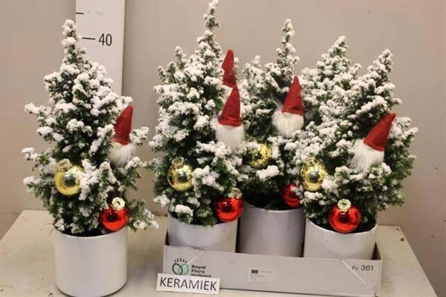 <h4>CHAM TH TOP POINT</h4>