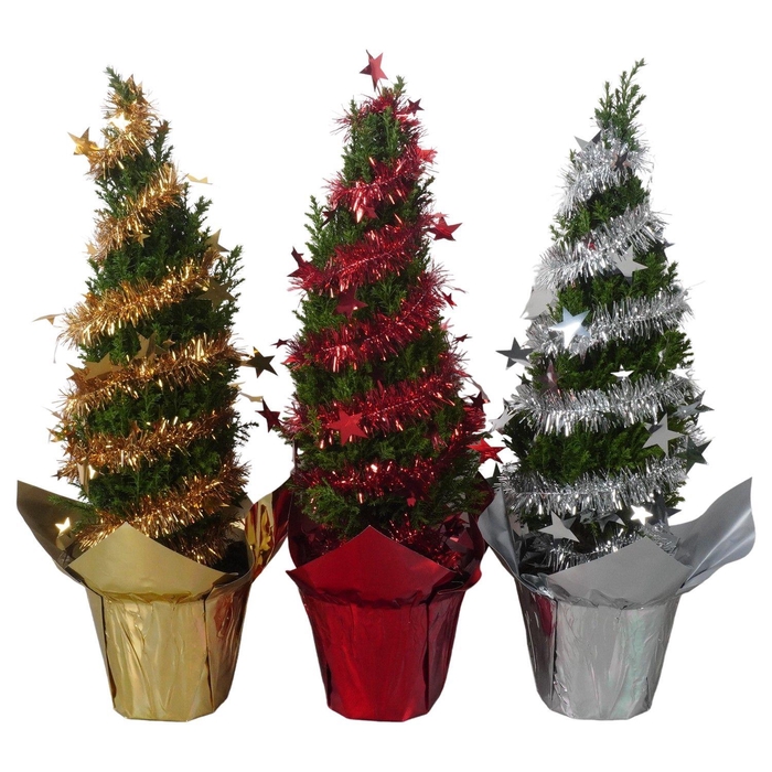 <h4>PTK25218 Ellwoodii in glimmende potcover mix met decoratie</h4>