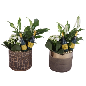 New Year Arr. Indoor Ceramic Pure Luxury N568 Ø13cm 2PP