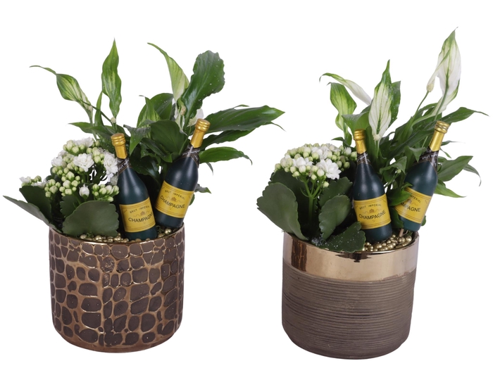 <h4>New Year Arr. Indoor Ceramic Pure Luxury N568 Ø13cm 2PP</h4>