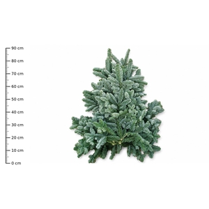 ABIES NOB BLAUW KILO