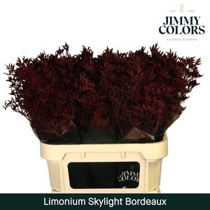 Lim Skylight L80 Bordeaux