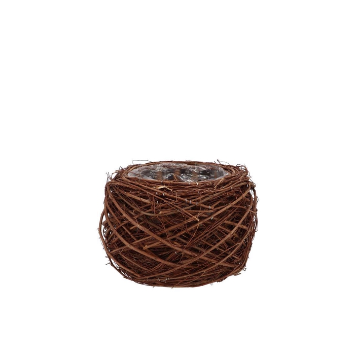 <h4>Nature Planter Elm Branch Brown 11x8cm</h4>