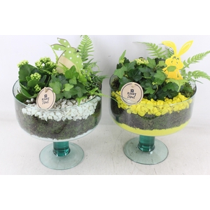 arr2 PL - Glas Sofia x4 - geel/wit