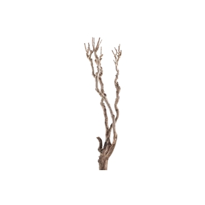 Syringa Branch Super Floessel