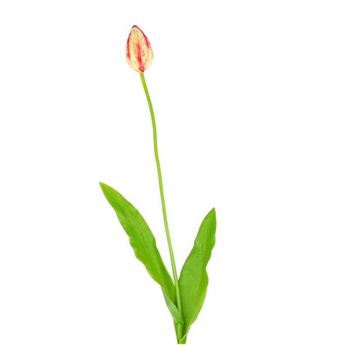 <h4>Kunstbloemen Tulipa 66cm</h4>