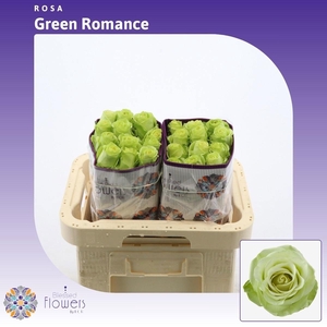 R GR GREEN ROMANCE