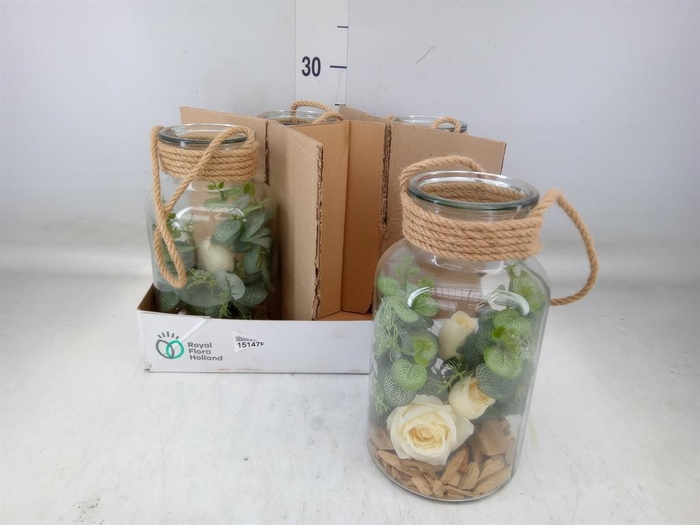 <h4>Decoratieve materialen   ...H%</h4>