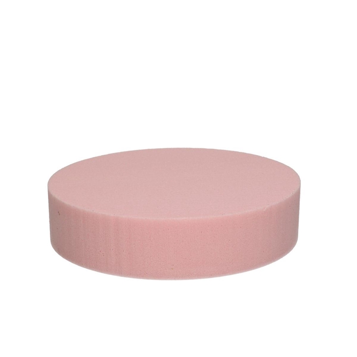 <h4>Oasis Kleur Cake d20*5cm</h4>