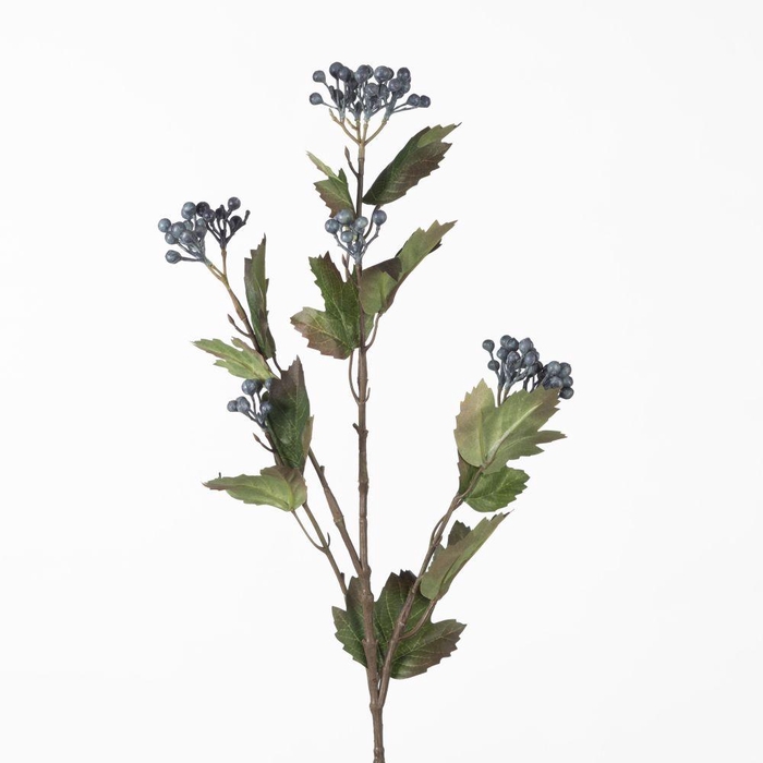 <h4>AF Viburnum Berry Sp L76cm Blu</h4>