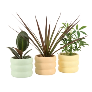 7502448: Solutionss Soft sculpture Groenmix Greenss