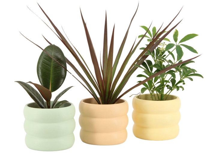 <h4>7502448: Solutionss Soft sculpture</h4>