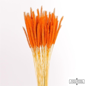 Dried Soft Silk Worms Orange Bunch