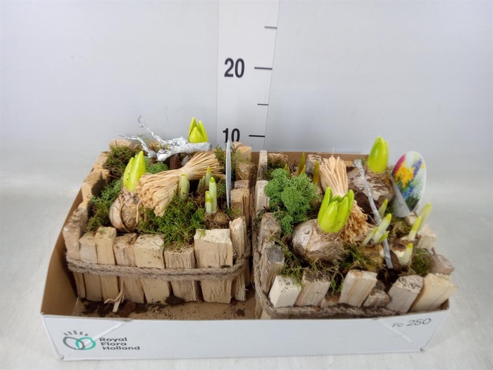 <h4>Arr.   Bol/Knolgewas L%</h4>