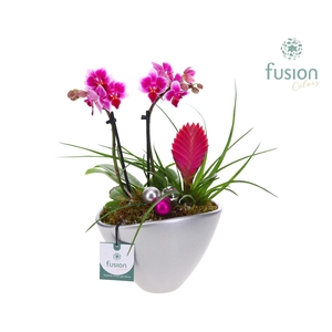 Pot keramiek Ovaal Kerst met Arrangement