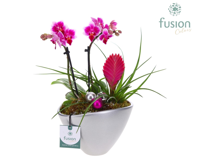 <h4>Pot keramiek Ovaal Kerst met Arrangement</h4>