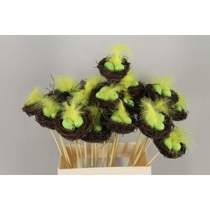 Stick Nest Salim + Eggs Green