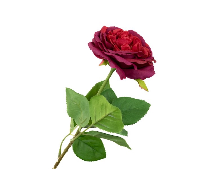 <h4>Rosa Wedding Red</h4>