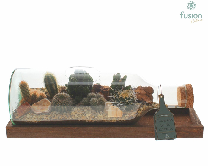 <h4>Green Bottle Fles Medium liggend met Cactussen</h4>