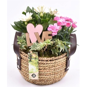 Touwmand met leer handv.18-20cm