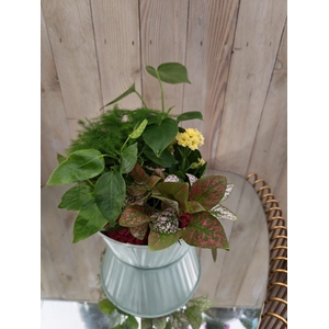 Panier intérieur 31
