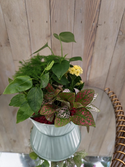 <h4>Panier intérieur 31</h4>