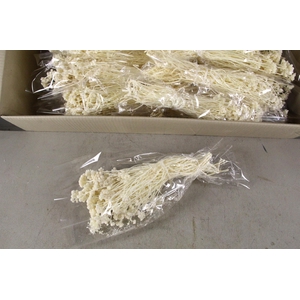 DF Lonas Bs Bleached 70g poly