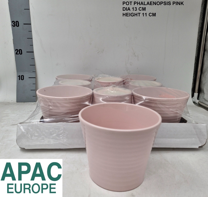 <h4>KERAMISCHE POT H%</h4>