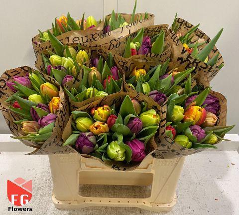 <h4>Tu Du Gem Broodpapier</h4>