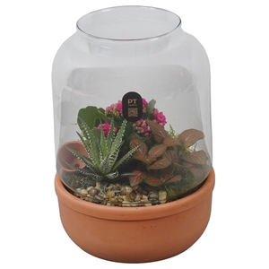2646 INDOOR T.C.GLAS