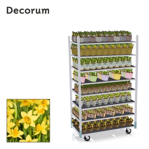 CC EASTER MAXI 2026 - 1 prijs per stuk, incl. fust